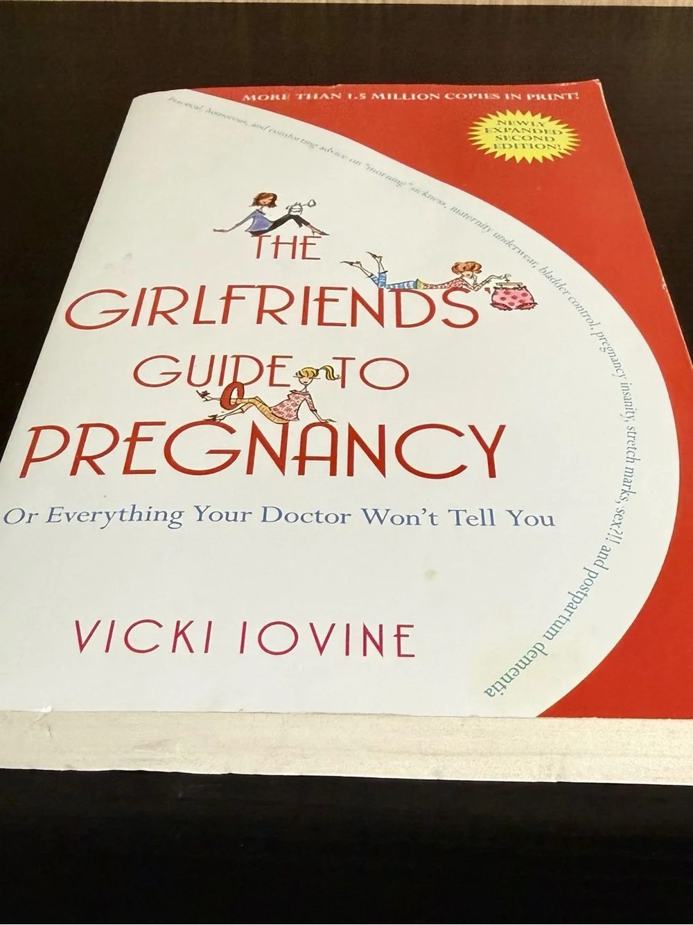 Vicki Iovine The Girlfriends' Guide to Pregnancy 2nd Ed Paperback